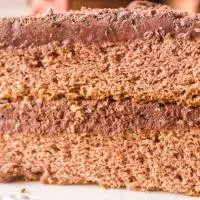 Side view of a slice of mahagany chocolate cake - hostess at heart