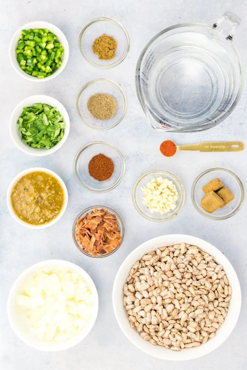 Top-down view of the ingredients used to make Instant Pot Charro Beans