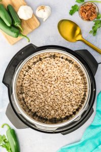 Top-down view of dried pinto beans in an Instant Pot - Hostess At Heart