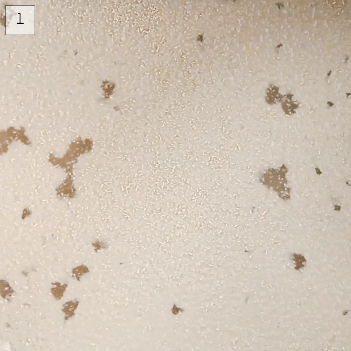 Top-down view of yeast blooming in a bowl - Hostess At Heart