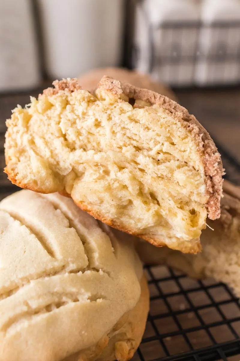 A Mexican Concha Bread roll cut in half showing a dense but soft crumb. Hostess At Heart