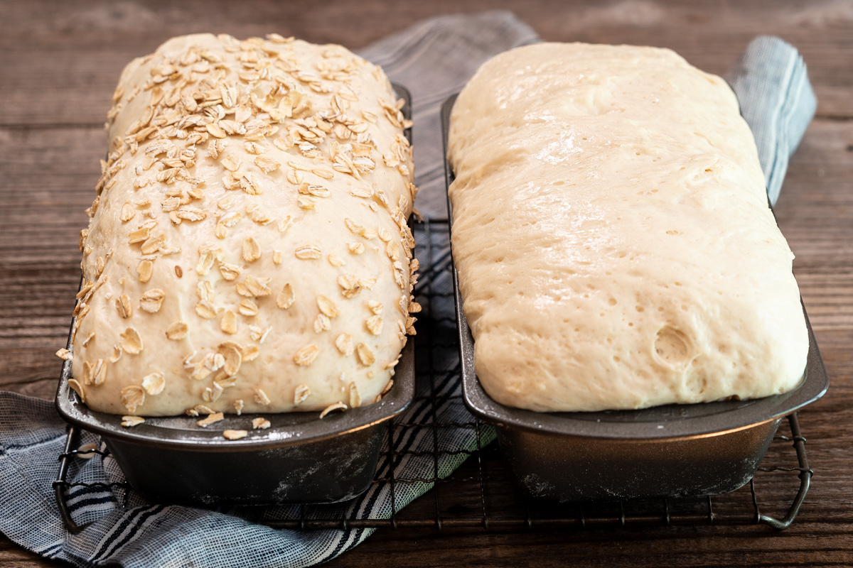 Two bread pans filled with risen bread dough. One loaf is topped with oats. Hostess At Heart