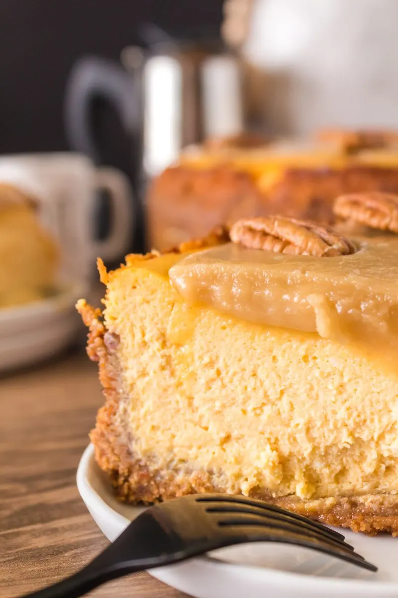 Side image of a cheesecake showing the layers of a graham cracker crust and topped with a pecan filling. Hostess At Heart