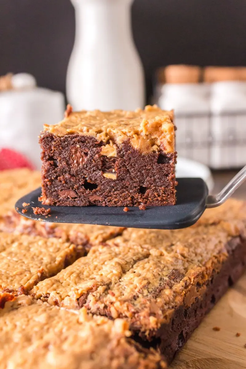 Side view of a chocolate brownie topped and swirled with a peanut butter topping sitting on a spatula