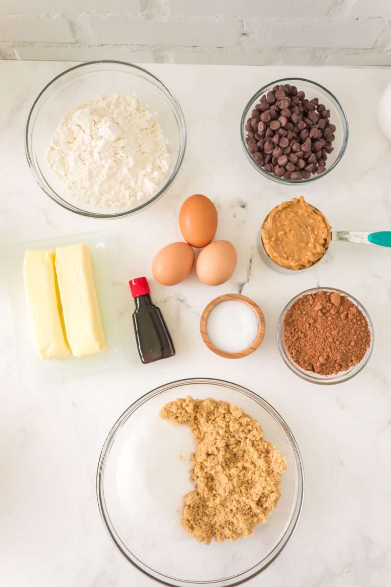 Ingredients used to make peanut butter swirl brownies including sugar, brown sugar, eggs, cocoa, flour, vanilla extract, butter, salt, chocolate chips, and peanut butter.