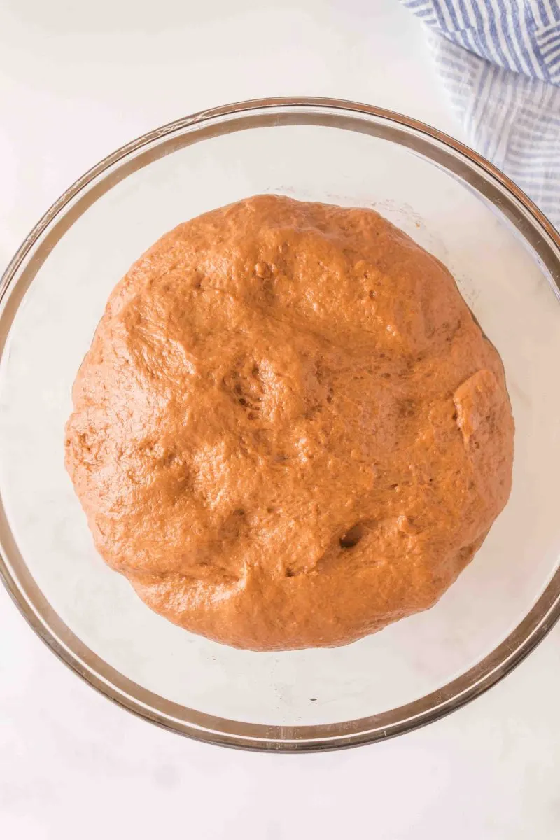 Brown Bread Dough rising in a bowl - Hostess At Heart