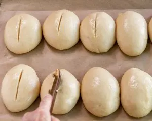 8 bread dough rolls on a baking sheet being scored with a razor blade.