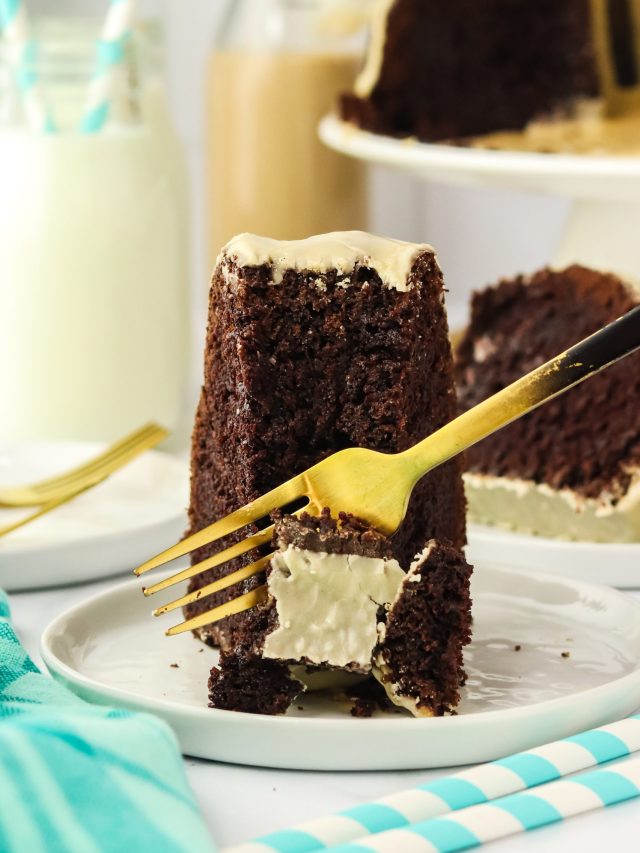 Best Chocolate Stout Bundt Cake (with Irish Cream Glaze) Story