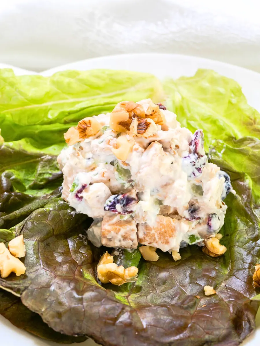 Red leaf lettuce topped with a scoop of creamy chicken salad made with tender chicken, Greek Yogurt, herbs, walnuts, craisins, and parmesan cheese.
