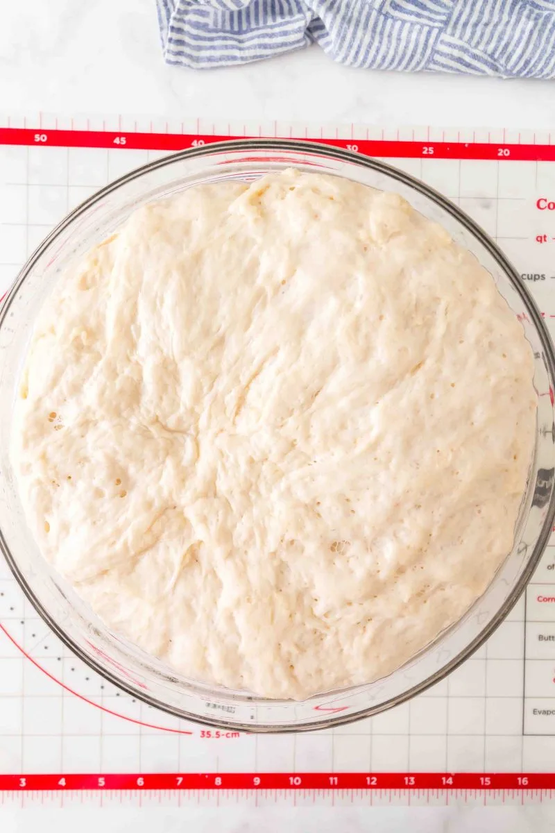 A large bowl of risen bread dough. Hostess At Heart