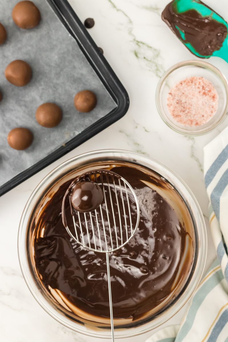 A spatula holding a chocolate dipped truffle