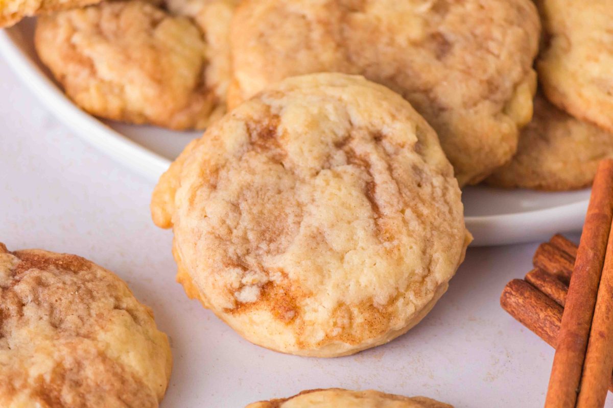 Top down close up of cinnamon cookies on a plate, with one in the center in focus.