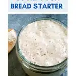 Top down view of an image for Pinterest of a jar filled with bubbly sourdough starter - Hostess At Heart