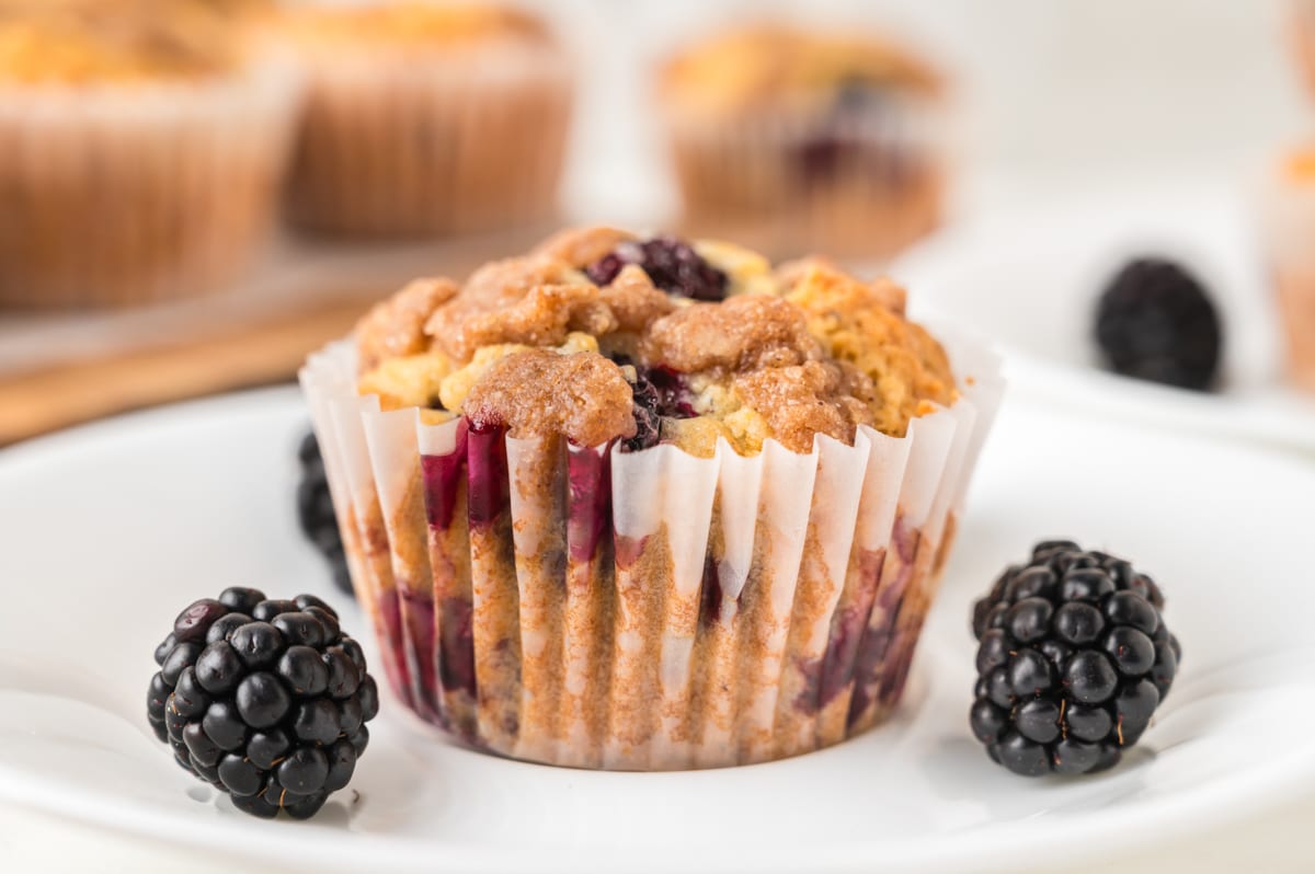 Single Blackberry Muffin, close up in focus, with additional muffins blurred in the background. Surrounded by blackberries.
