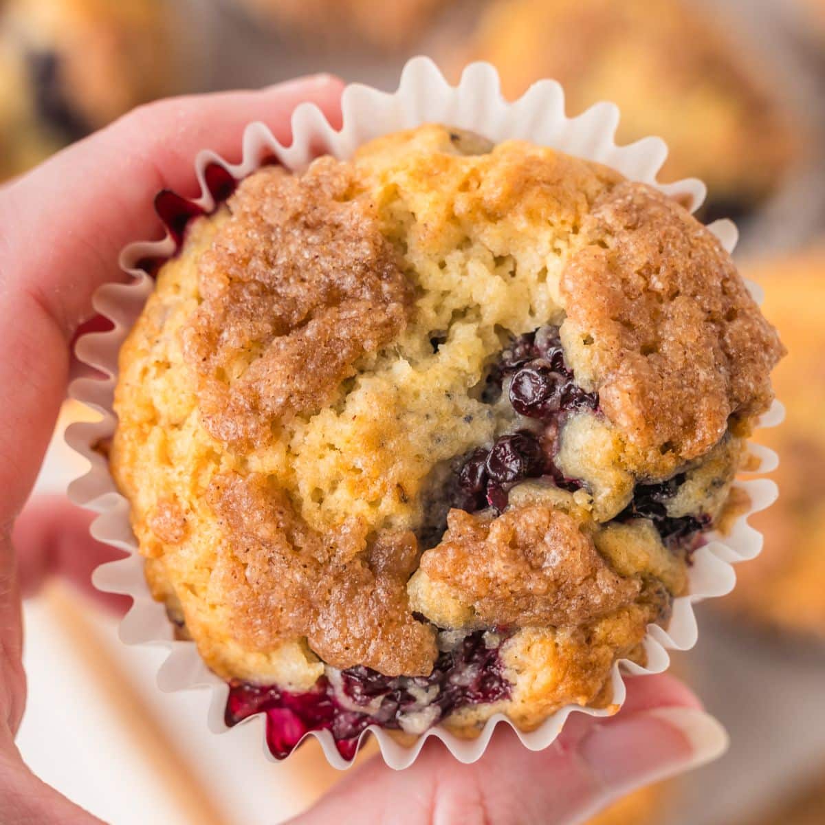 A closeup view of a hand holding a blackberry muffin - Hostess At Heart