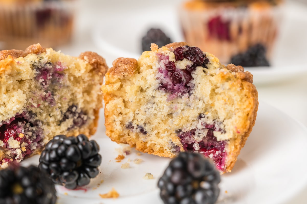 Blackberry muffin cut. in half, with. the insides exposed, close up, with blackberries around it.