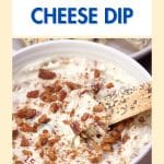 Angled view of a bowl of creamy gorgonzola cheese dip garnished with chopped spicy pecans. Hostess At Heart