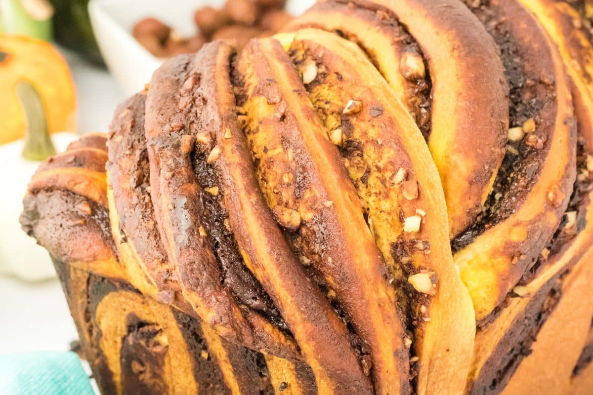 Close-up sideview of a loaf of twisted chocolate pumpkin babka bread with crushed hazelnuts - Hostess At Heart