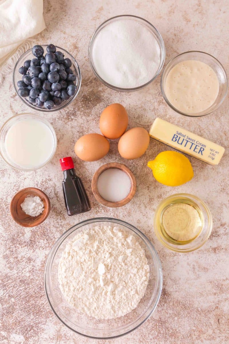 Lemon Blueberry Sourdough Bread Ingredients: flour, sugar, fresh blueberries, sourdough discard starter, baking powder, salt, butter, oil, vanilla, eggs, milk, and vanilla. Hostess At Heart