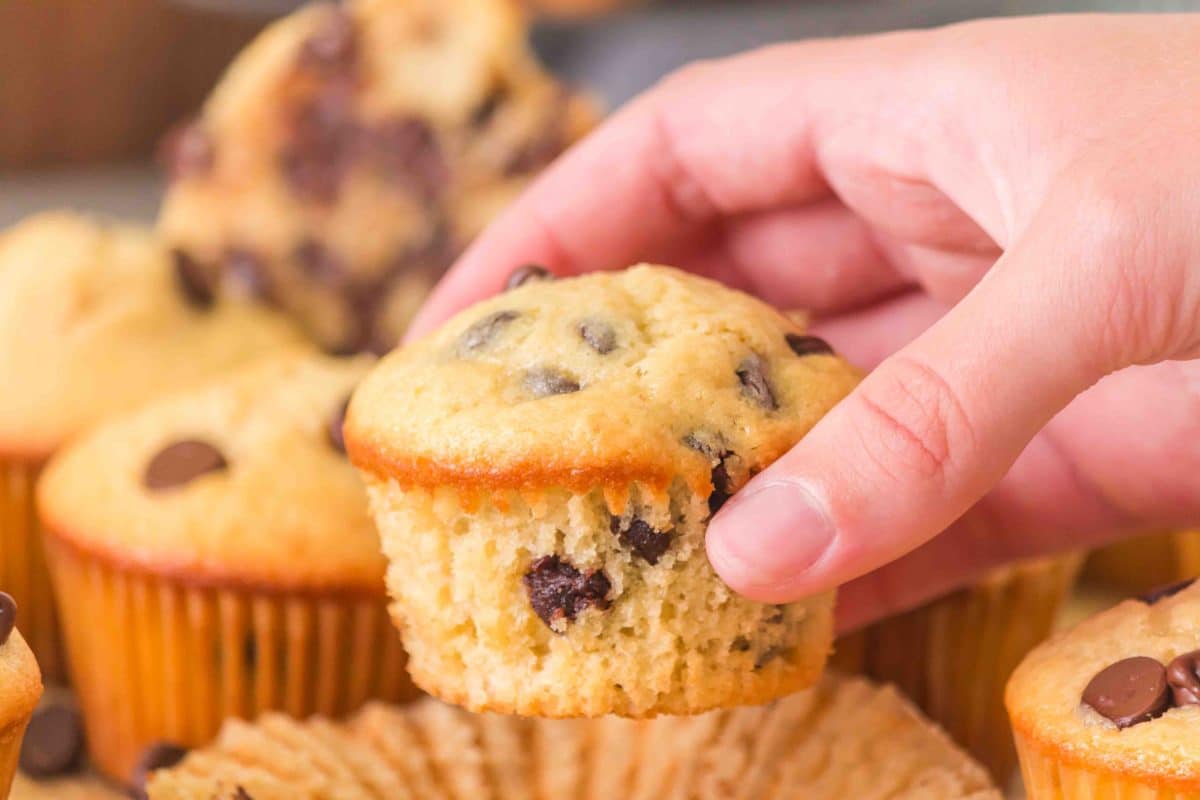 Sideview of a hand grabbing a golden brown soft and tender chocolate chip sour dough muffin - Hostess At Heart