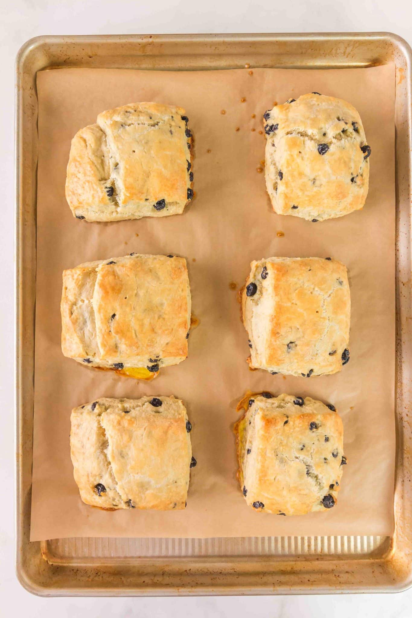Golden brown baked blueberry biscuits fresh from the oven. Hostess At Heart