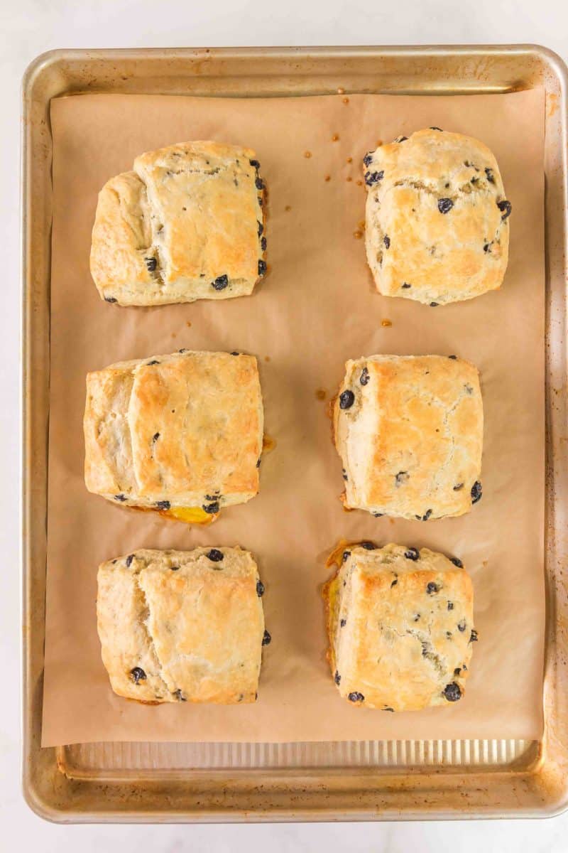 Golden brown baked blueberry biscuits fresh from the oven. Hostess At Heart