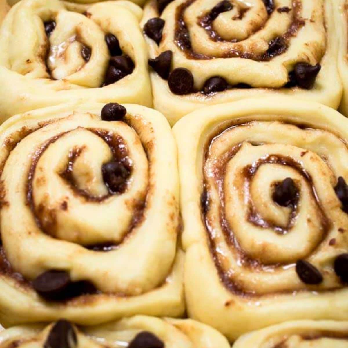 Unbaked raised yeast cinnamon rolls with layers of brown sugar and chocolate chips in a pan. Hostess At Heart