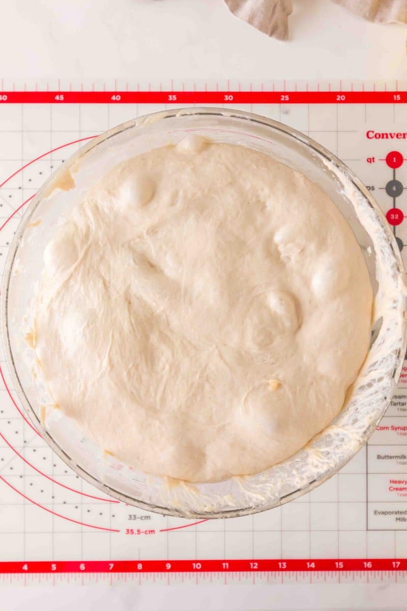 Top down view of a mixing bowl full of bubbly risen dough. Hostess At Heart