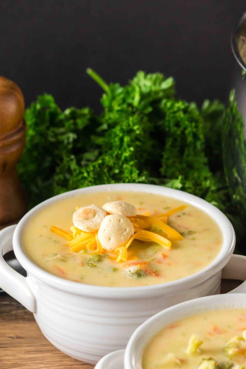 Sideview of cheese broccoli soup in a white bowl topped with shredded cheddar and crackers. Hostess At Heart